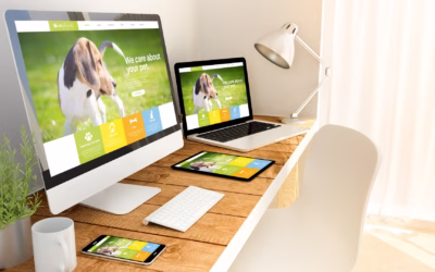 Proč svěřit tvorbu a správu webu profesionálům